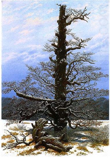 Oak Tree in the Snow, Caspar David Friedrich